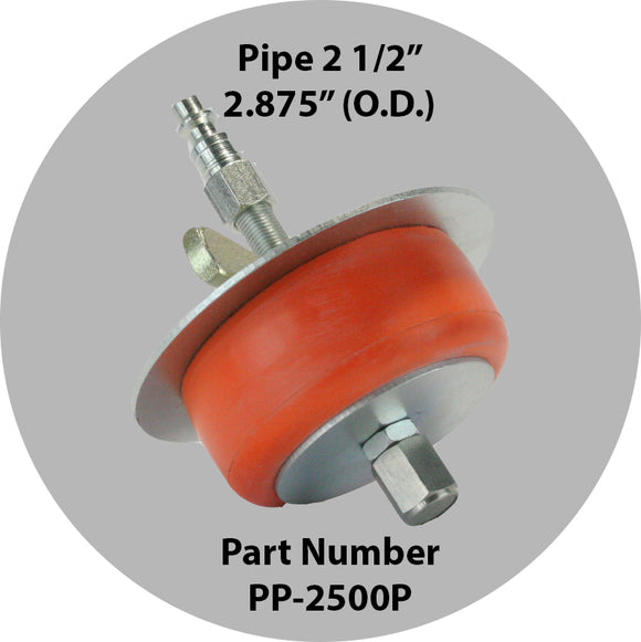 Purge Plug 2-1/2 Inch For Pipe Inlet
