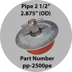 Purge Plug 2 1/2" For Pipe Outlet