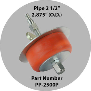 Purge Plug 2-1/2 Inch For Pipe Inlet